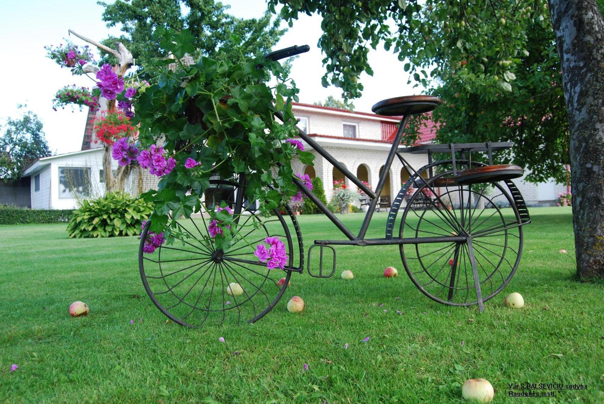 Stasio Balseviciaus Homestead Raudone Luaran gambar
